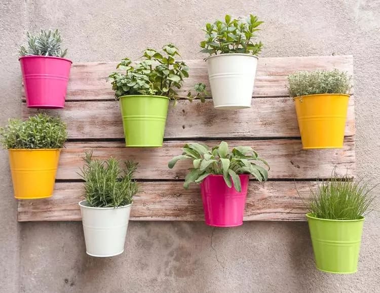Pots de fleurs accrochés verticalement sur du bois